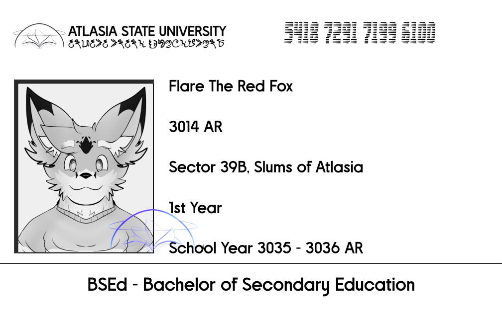 Flare Division Identification Card